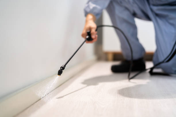 Licensed Pest Control service in Rochester, IL - Show Me Pest Control